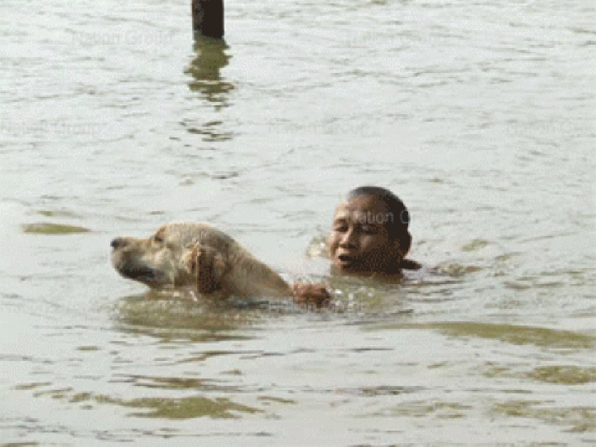 ทึ่ง"เต้าหู้"หมาแสนรู้ช่วย"จับปลา-คนจมน้ำ" ทึ่ง"เต้าหู้"หมาแสนรู้ช่วย"จับปลา-คนจมน้ำ"