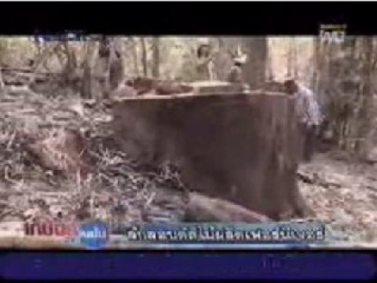 ลักลอบตัดไม้ผลิตเฟอร์นิเจอร์