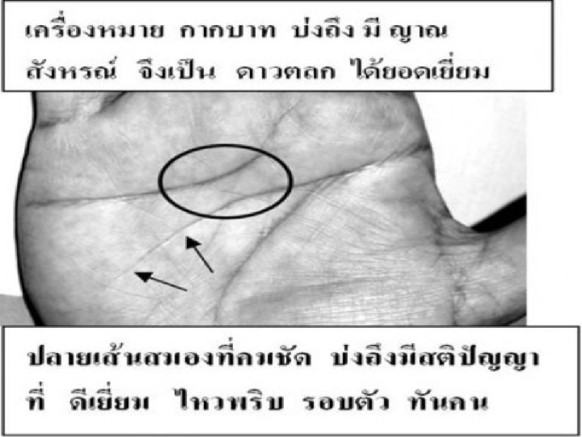 ถั่วแระ เชิญยิ้ม ดาวค้างฟ้า
ถั่วแระ เชิญยิ้ม ดาวค้างฟ้า