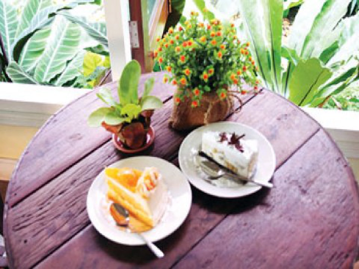 "ไหม เบเกอรี่ อิน การ์เด้น"
ร้านเบเกอรี่สไตล์บ้านในสวน "ไหม เบเกอรี่ อิน การ์เด้น"
ร้านเบเกอรี่สไตล์บ้านในสวน