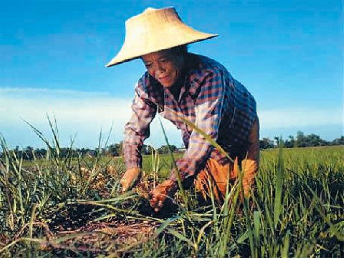 พอแล้วรวย - ถึงวาระคืนชีวิตให้แผ่นดิน
คืนลมหายใจให้ประเทศ พอแล้วรวย - ถึงวาระคืนชีวิตให้แผ่นดิน
คืนลมหายใจให้ประเทศ