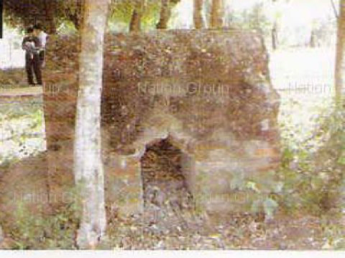 อบต.บ่อทอง เปิดแหล่งเรียนรู้แห่งใหม่
"พิพิธภัณฑ์เหมืองแร่ทองคำ"
 อบต.บ่อทอง เปิดแหล่งเรียนรู้แห่งใหม่
"พิพิธภัณฑ์เหมืองแร่ทองคำ"