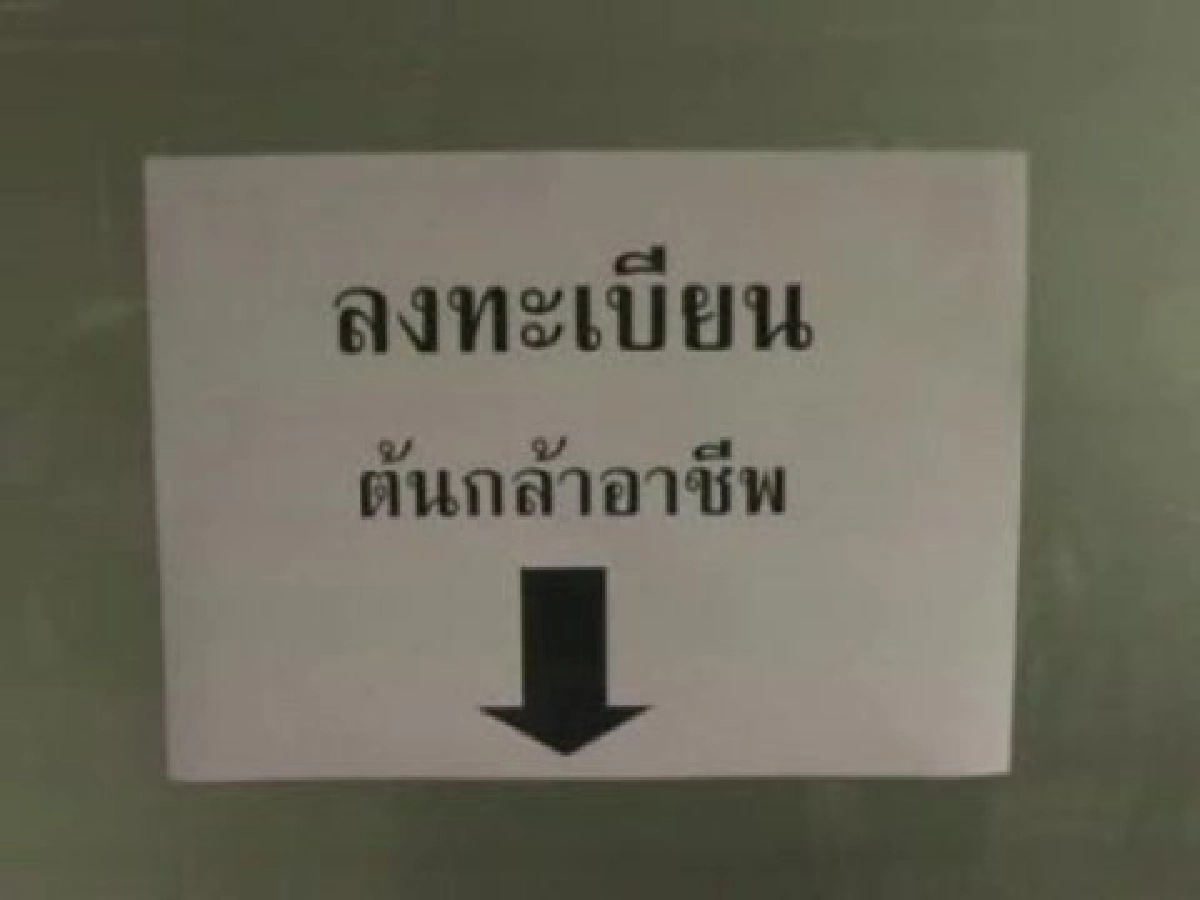 ปชช.แห่ขึ้นทะเบียนต้นกล้าอาชีพ ปชช.แห่ขึ้นทะเบียนต้นกล้าอาชีพ