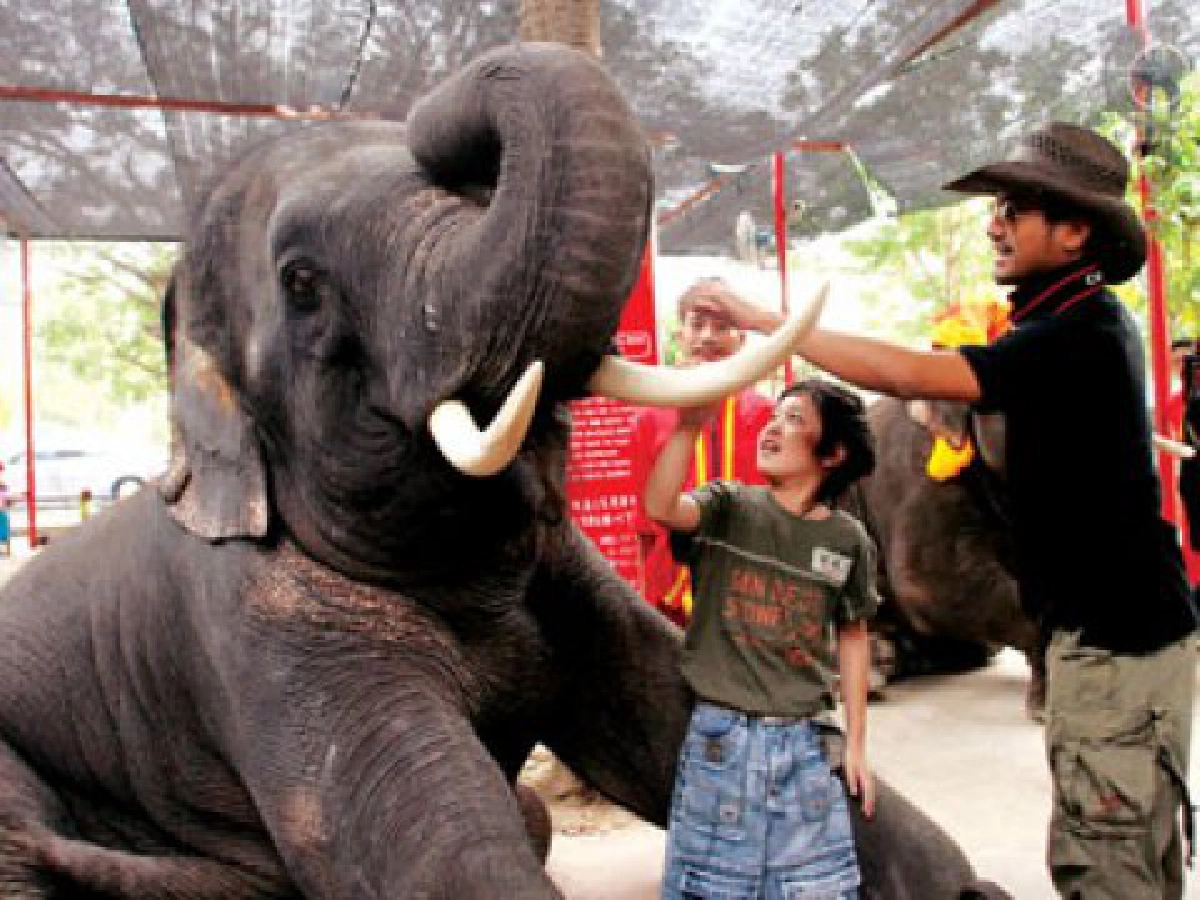 คู่หูต่างวัยหนุ่ม&"จุนจุน"พาทัวร์วังช้างอยุธยาแล เพนียด คู่หูต่างวัยหนุ่ม&"จุนจุน"พาทัวร์วังช้างอยุธยาแล เพนียด