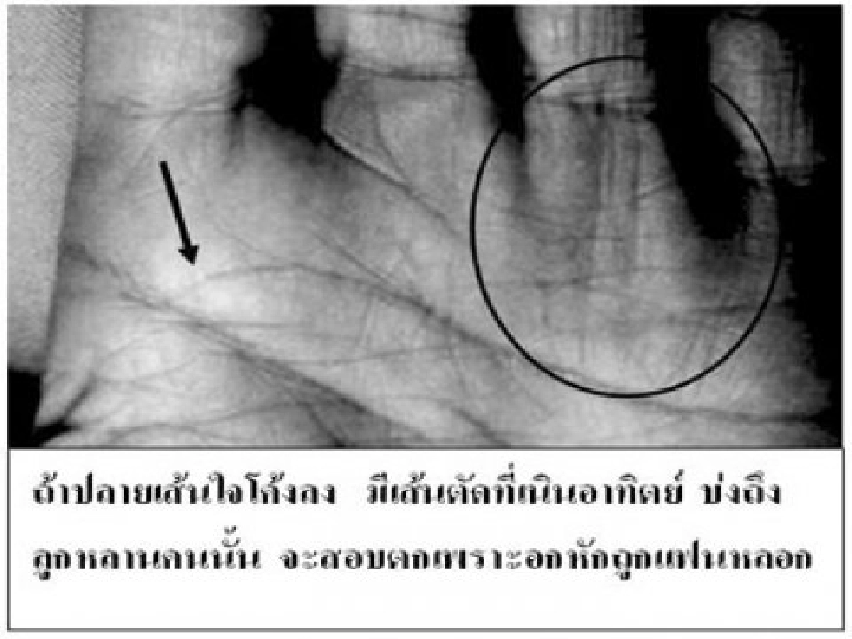 ลูกจะเรียนอะไรดี? ลูกจะเรียนอะไรดี?