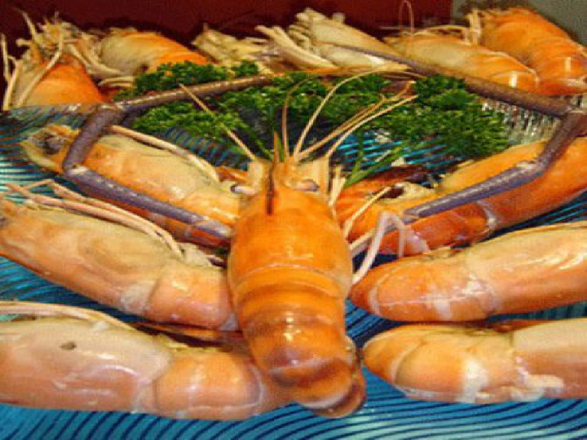 Food Promotion (เสาร์ที่ 18 เม.ย.52)
Food Promotion (เสาร์ที่ 18 เม.ย.52)