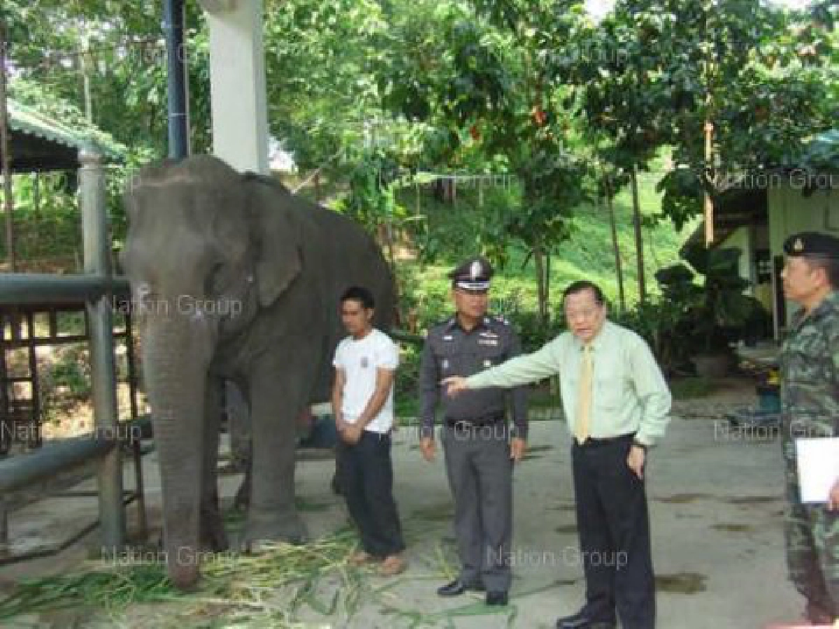 ล่าพรานยิง"พังสำราญ"ที่พระราชินีทรงปล่อย ล่าพรานยิง"พังสำราญ"ที่พระราชินีทรงปล่อย