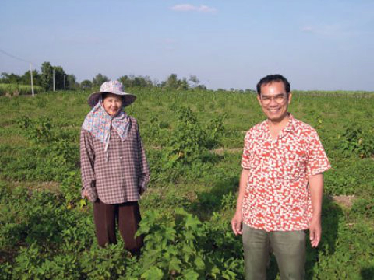 "ก้อนเพาะปลูกมหัศจรรย์"
ปุ๋ยสมุนไพรที่ไม่ต้องใช้ดิน
"ก้อนเพาะปลูกมหัศจรรย์"
ปุ๋ยสมุนไพรที่ไม่ต้องใช้ดิน