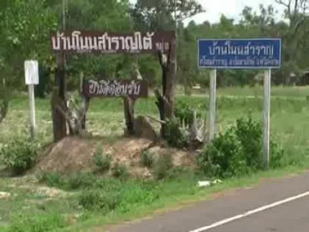 หมู่บ้านอนุรักษ์ควายไทยศรีสะเกษทำพิธีแฮกนา หมู่บ้านอนุรักษ์ควายไทยศรีสะเกษทำพิธีแฮกนา