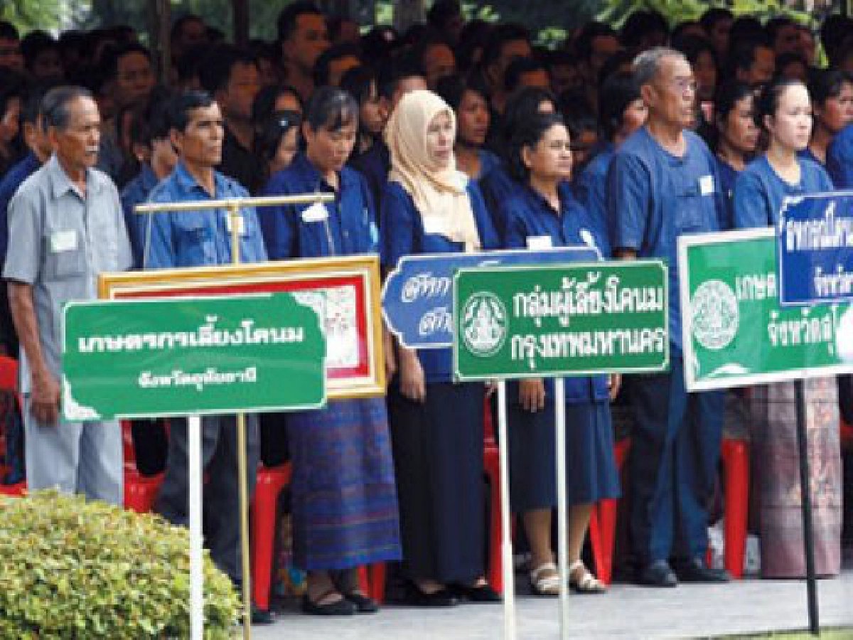 ประจำวันที่13พ.ค. ประจำวันที่13พ.ค.
