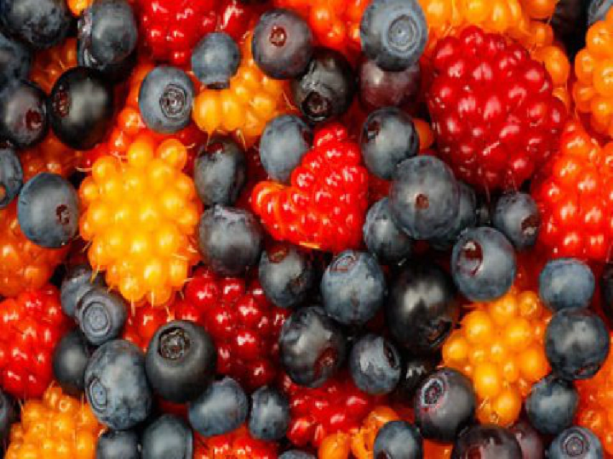 เพิ่ม ORAC กัน