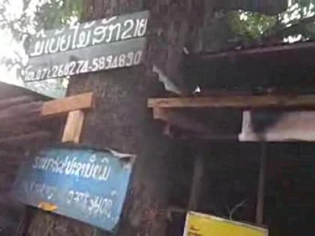 ร้านกาแฟประชานิยม
