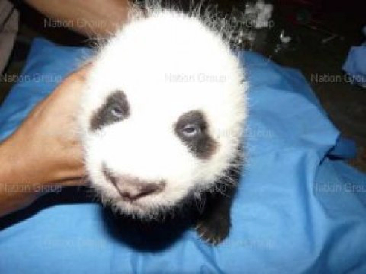 คนรักตูบ คนรักตูบ