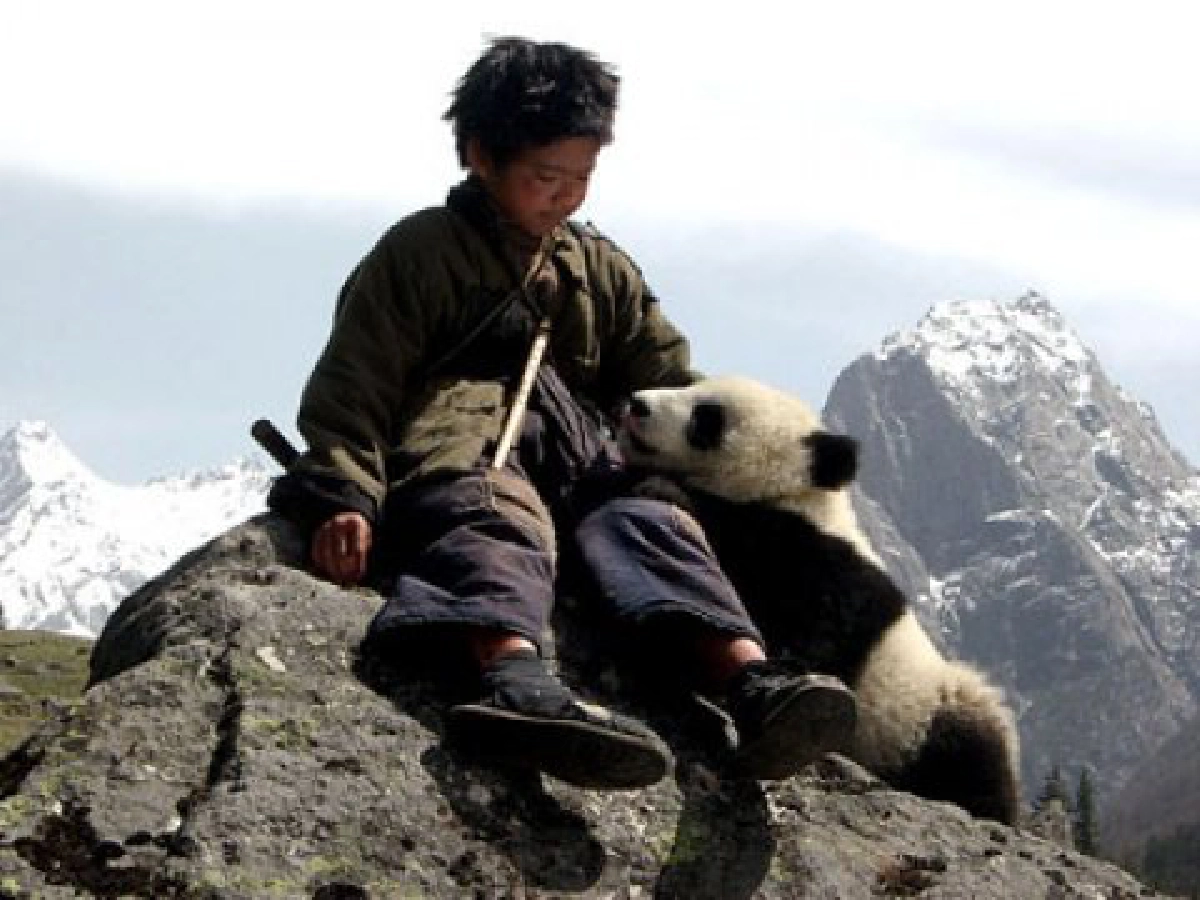 พบกับ Trail of the Panda
แพนด้าเพื่อนรัก
พบกับ Trail of the Panda
แพนด้าเพื่อนรัก