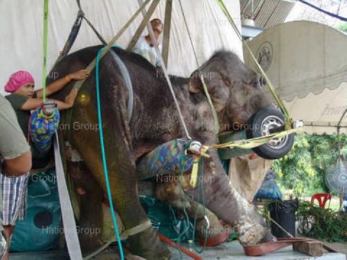 ทำบุญตักบาตรอุทิศส่วนกุศลให้พังกำไล