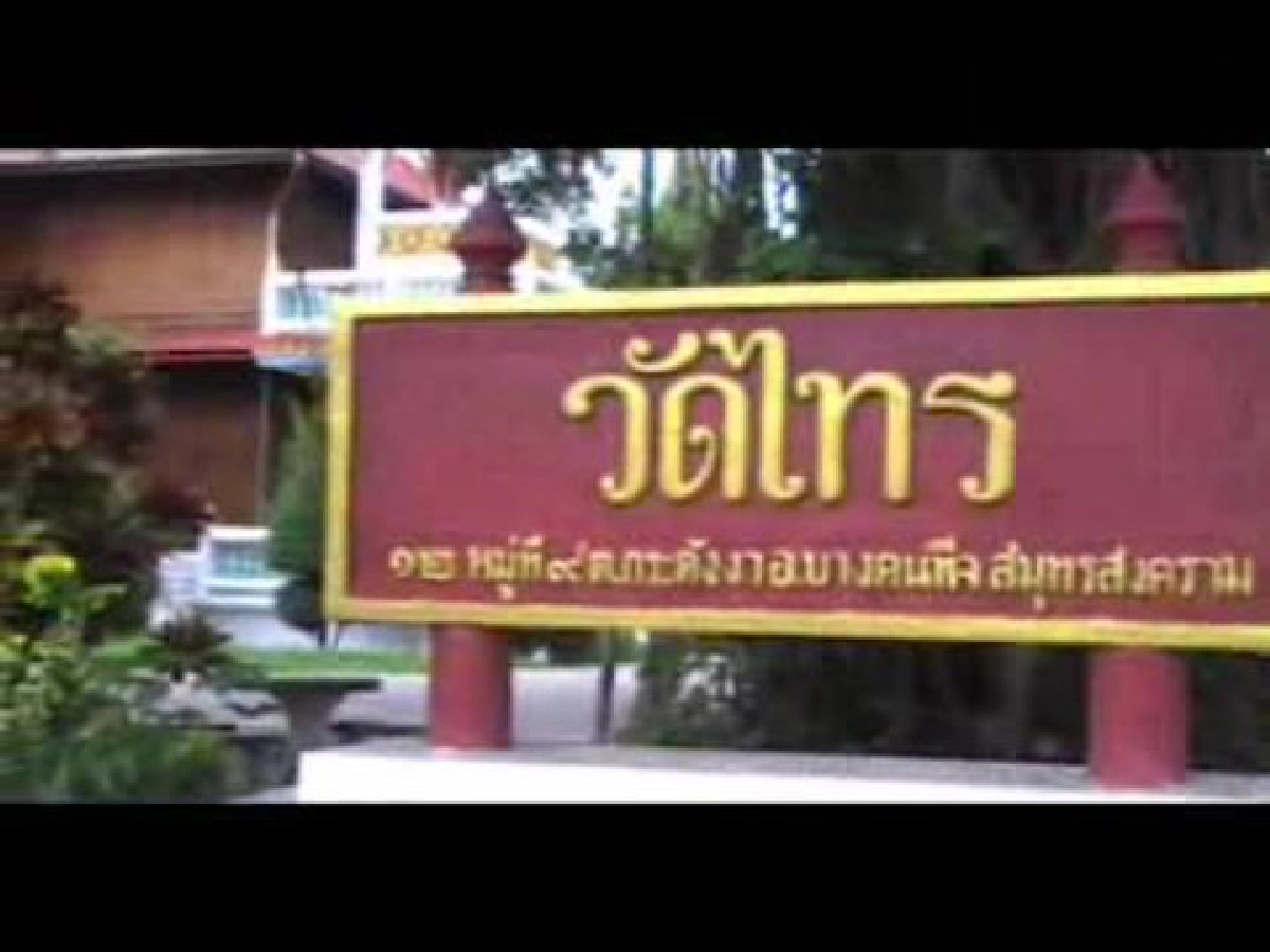 เที่ยววัดวันหยุดชมของเก่าวัดไทร