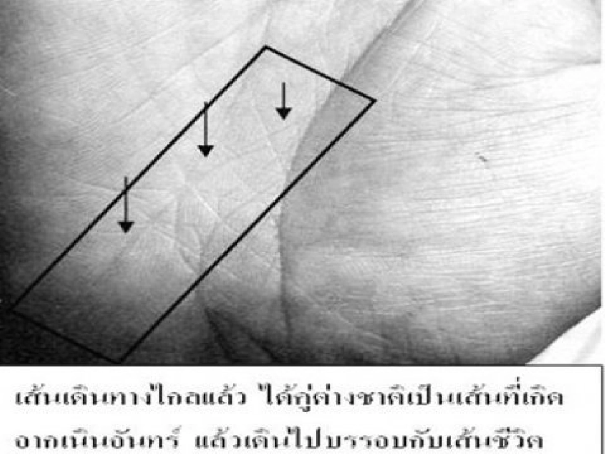 หัตถศาสตร์เรื่องที่คุณต้องรู้-ได้คู่กี่คนก็มีปัญหาทั้งสิ้น หัตถศาสตร์เรื่องที่คุณต้องรู้-ได้คู่กี่คนก็มีปัญหาทั้งสิ้น