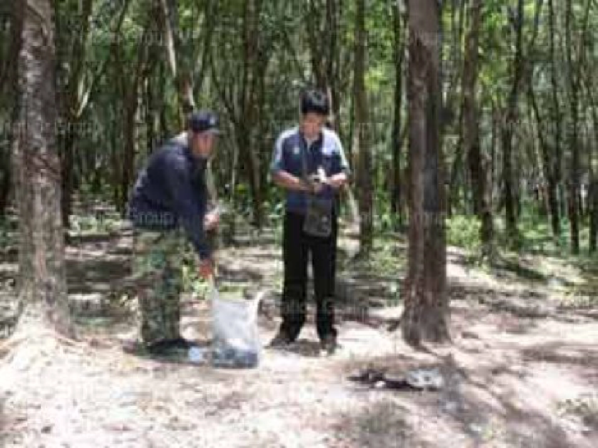 วงจรปิด...ไขปมเยอรมันบึ้มฆ่าตัว วงจรปิด...ไขปมเยอรมันบึ้มฆ่าตัว