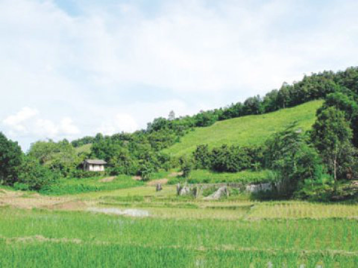 ห้องเรียนกลางนา
ห้องเรียนกลางนา