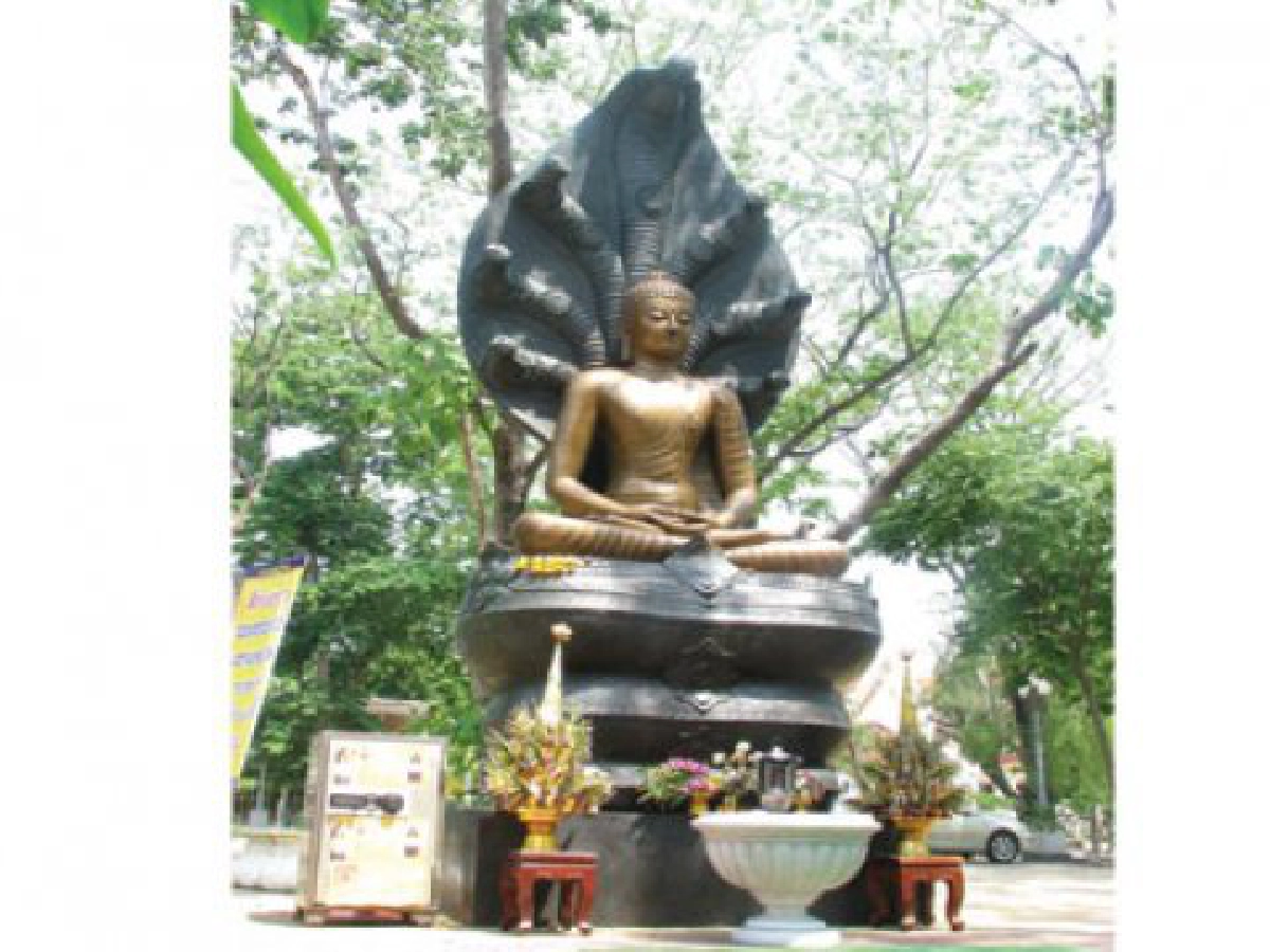 เสาร์ที่ 29 สิงหาคม 2552
เสาร์ที่ 29 สิงหาคม 2552