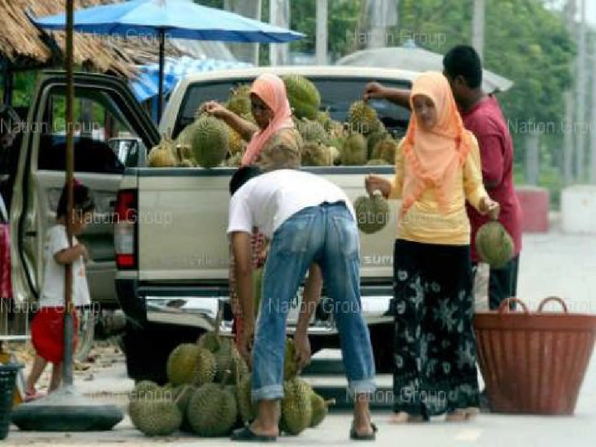 ยก"สถาบันเกษตร"ที่พึ่งชาวสวนแก้วิกฤติผลไม้ 3 จว.ชายแดนใต้ ยก"สถาบันเกษตร"ที่พึ่งชาวสวนแก้วิกฤติผลไม้ 3 จว.ชายแดนใต้