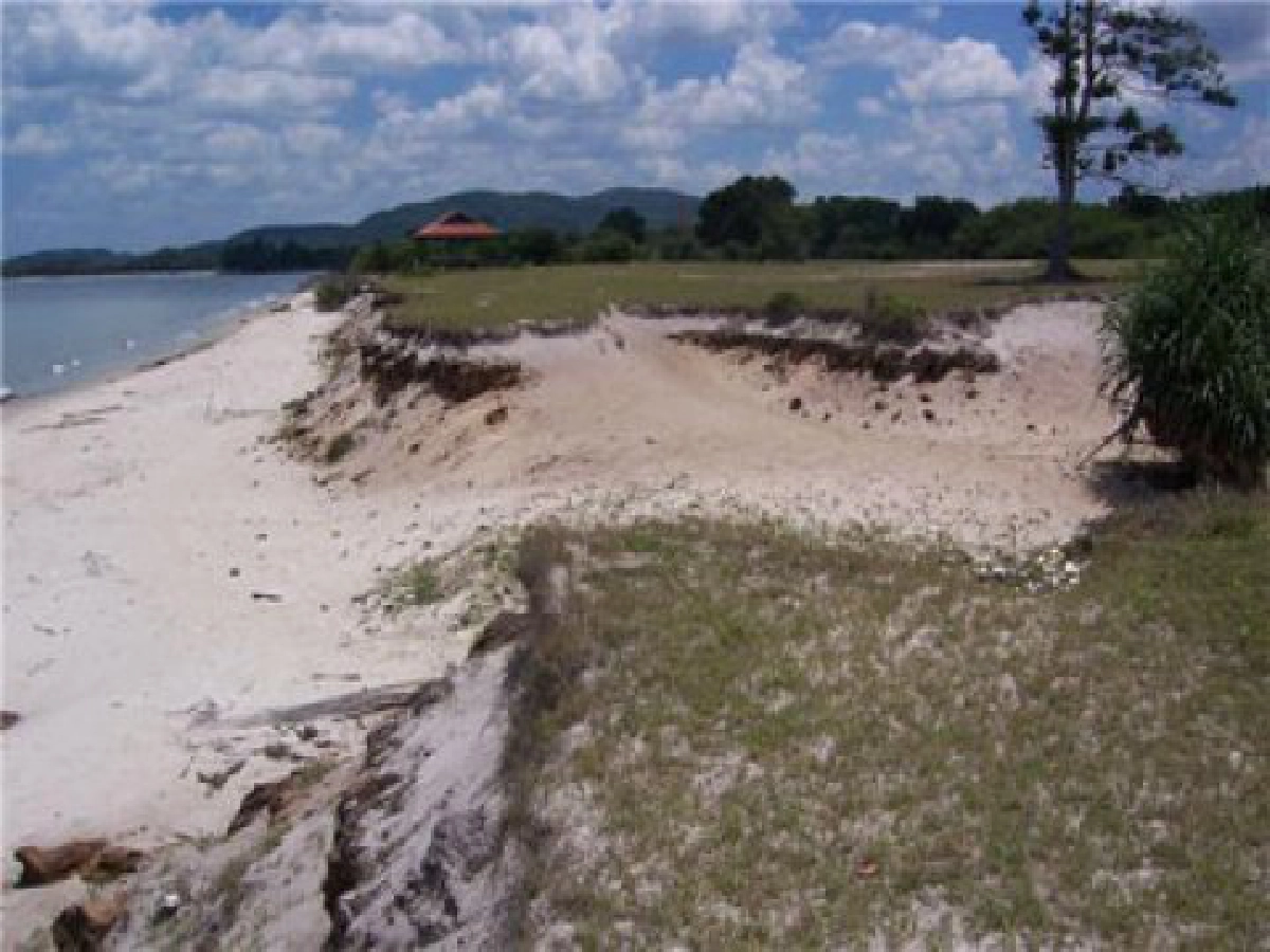 ตามรอยภารกิจสร้างเยาวชนรุ่นใหม่
ปลุกสำนึกอนุรักษ์"ชายหาดสะกอม"
ตามรอยภารกิจสร้างเยาวชนรุ่นใหม่
ปลุกสำนึกอนุรักษ์"ชายหาดสะกอม"
