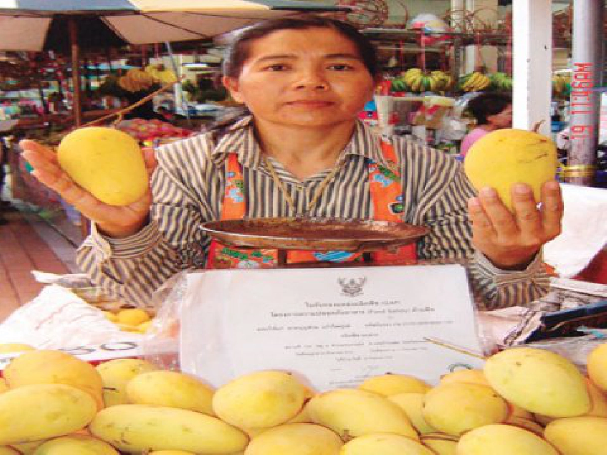 พลิกที่นาปลูกมะม่วงส่งออกญี่ปุ่น
วันนี้ "อุดม แก้ไพฑูลย์" ปลอดหนี้

