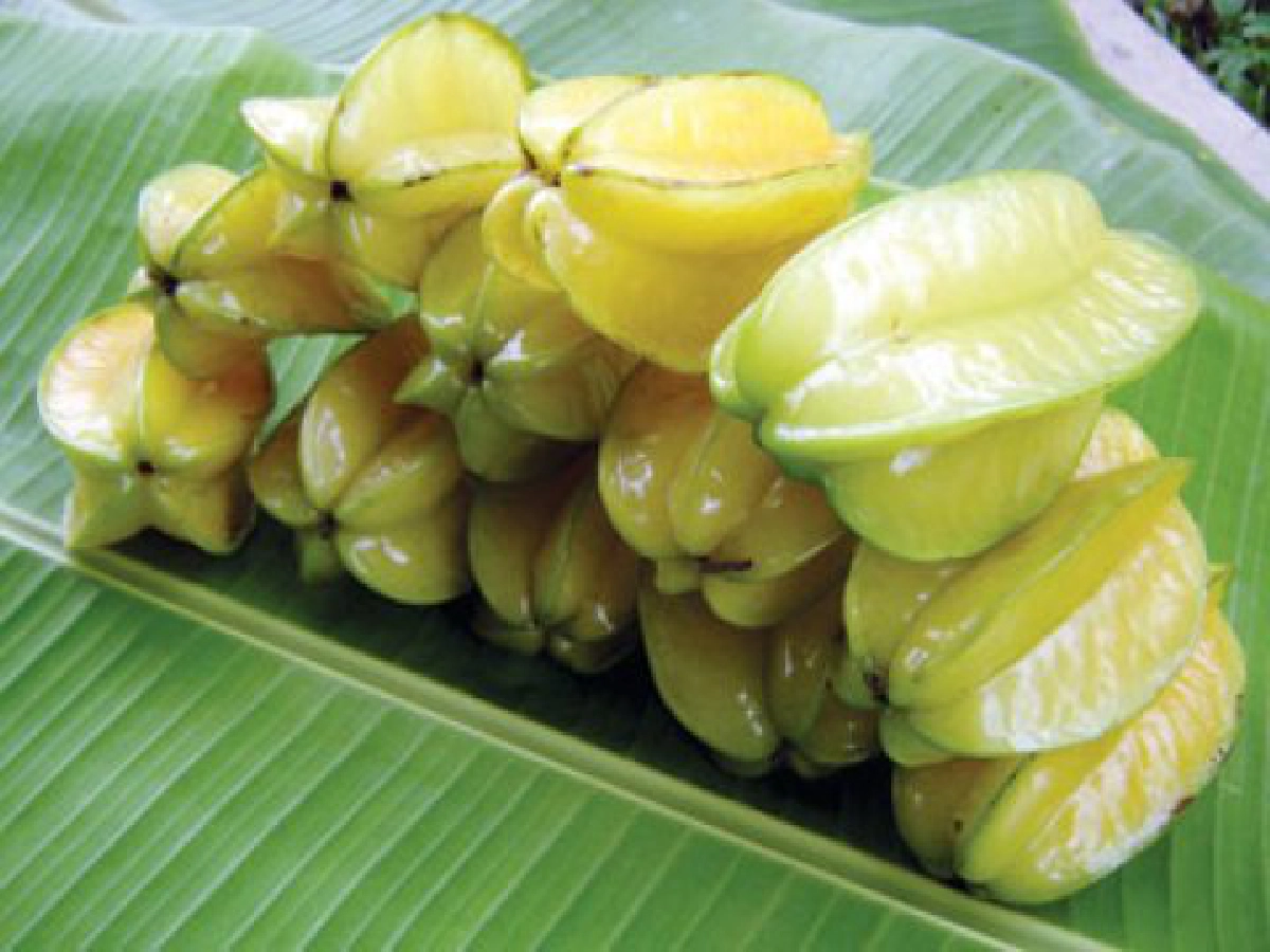 "มะเฟืองหยี"กลุ่มท่าข้าวโพด
 เพิ่มค่าผลไม้เปรี้ยว-สู่โอท็อป5ดาว
