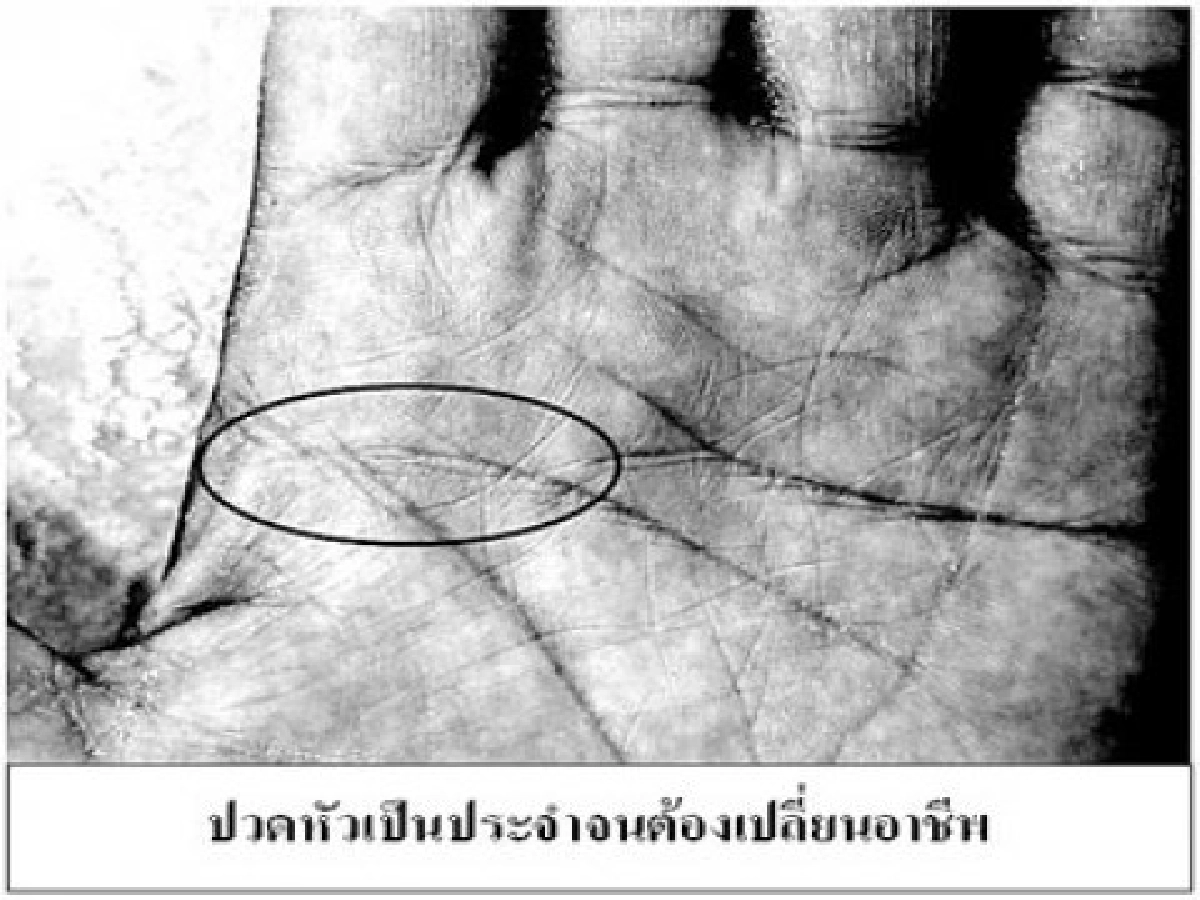 หัตถศาสตร์เรื่องที่คุณต้องรู้-ผมจะรอดหรือไม่ !? หัตถศาสตร์เรื่องที่คุณต้องรู้-ผมจะรอดหรือไม่ !?