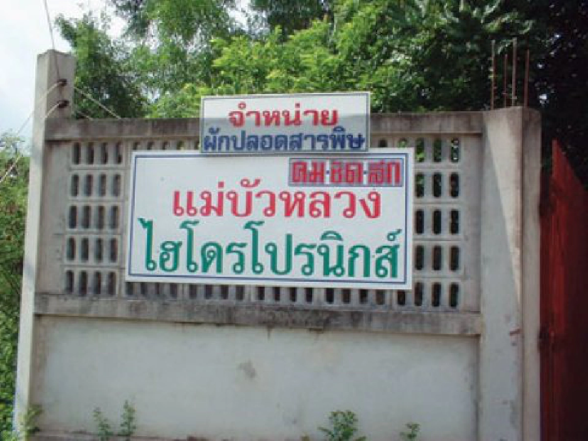 เส้นทางอาชีพ  - เปิดสอน 5 วิชารับสู่ปีที่ 9

