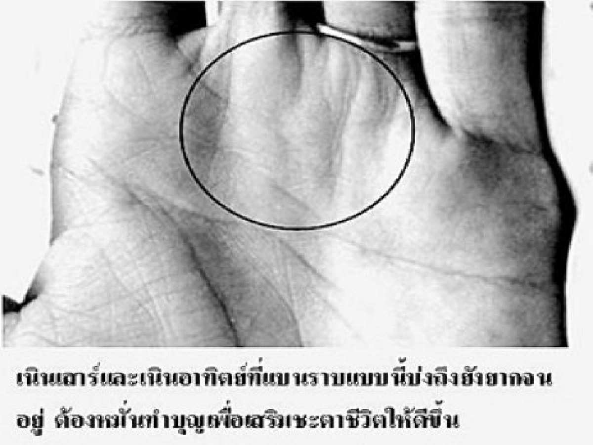 ทำอย่างไรจึงจะรวยขึ้น!?