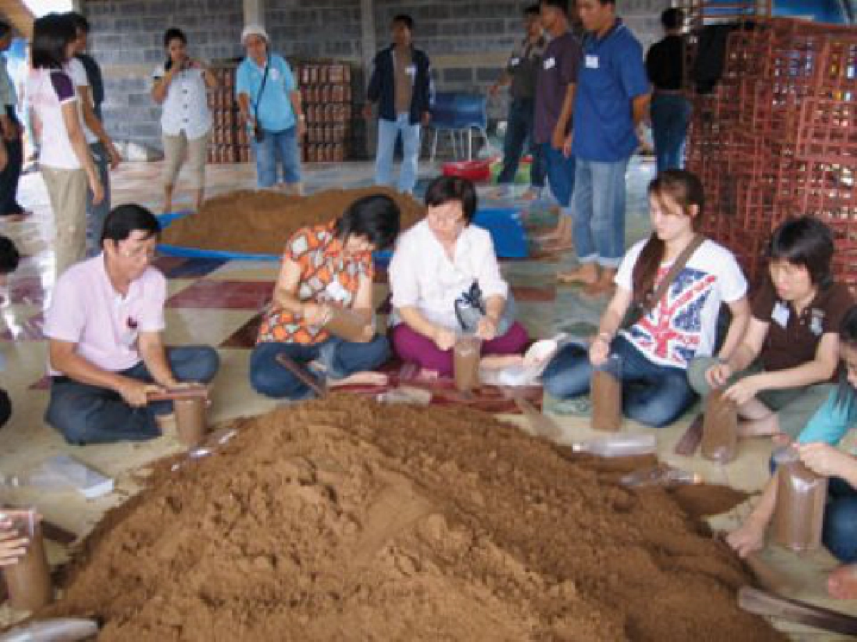 เรียนรู้วิธีเพาะ "เห็ดโคนญี่ปุ่น"
เรียนรู้วิธีเพาะ "เห็ดโคนญี่ปุ่น"