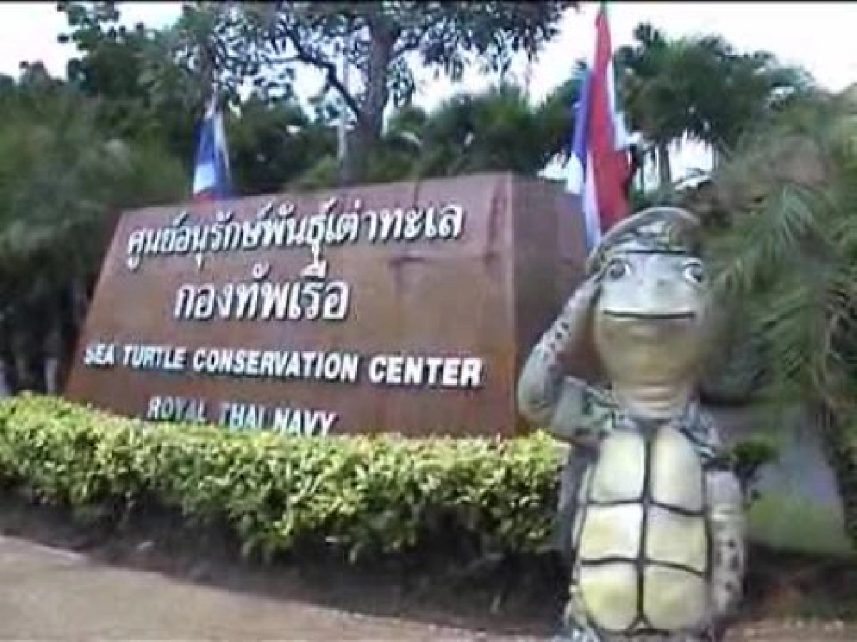 ผู้ประกวดนส.ไทย18คนสุดท้ายปล่อยเต่า ผู้ประกวดนส.ไทย18คนสุดท้ายปล่อยเต่า