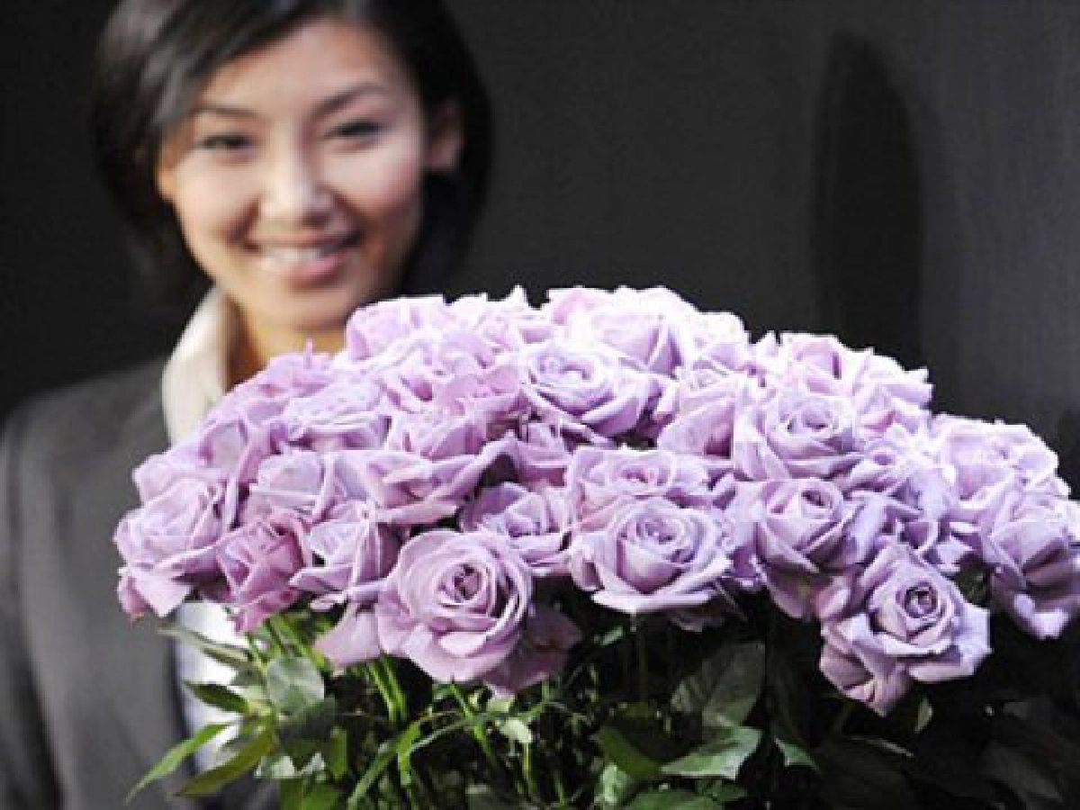 กุหลาบสีสวย
กุหลาบสีสวย