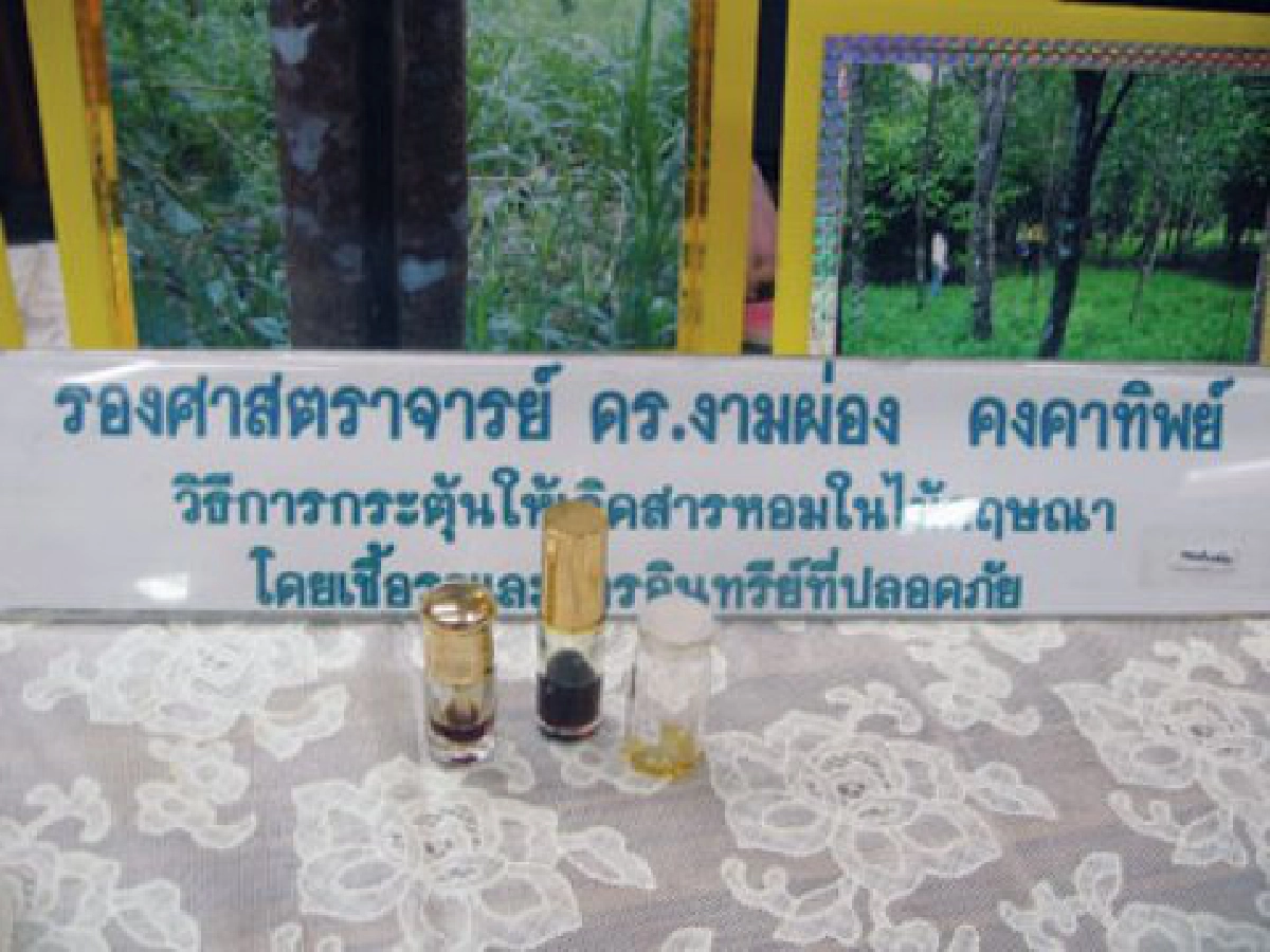 ผลวิจัยสกัดสารหอมจาก"กฤษณา"
รางวัลนักประดิษฐ์คิดค้นดีเด่นปี52
ผลวิจัยสกัดสารหอมจาก"กฤษณา"
รางวัลนักประดิษฐ์คิดค้นดีเด่นปี52