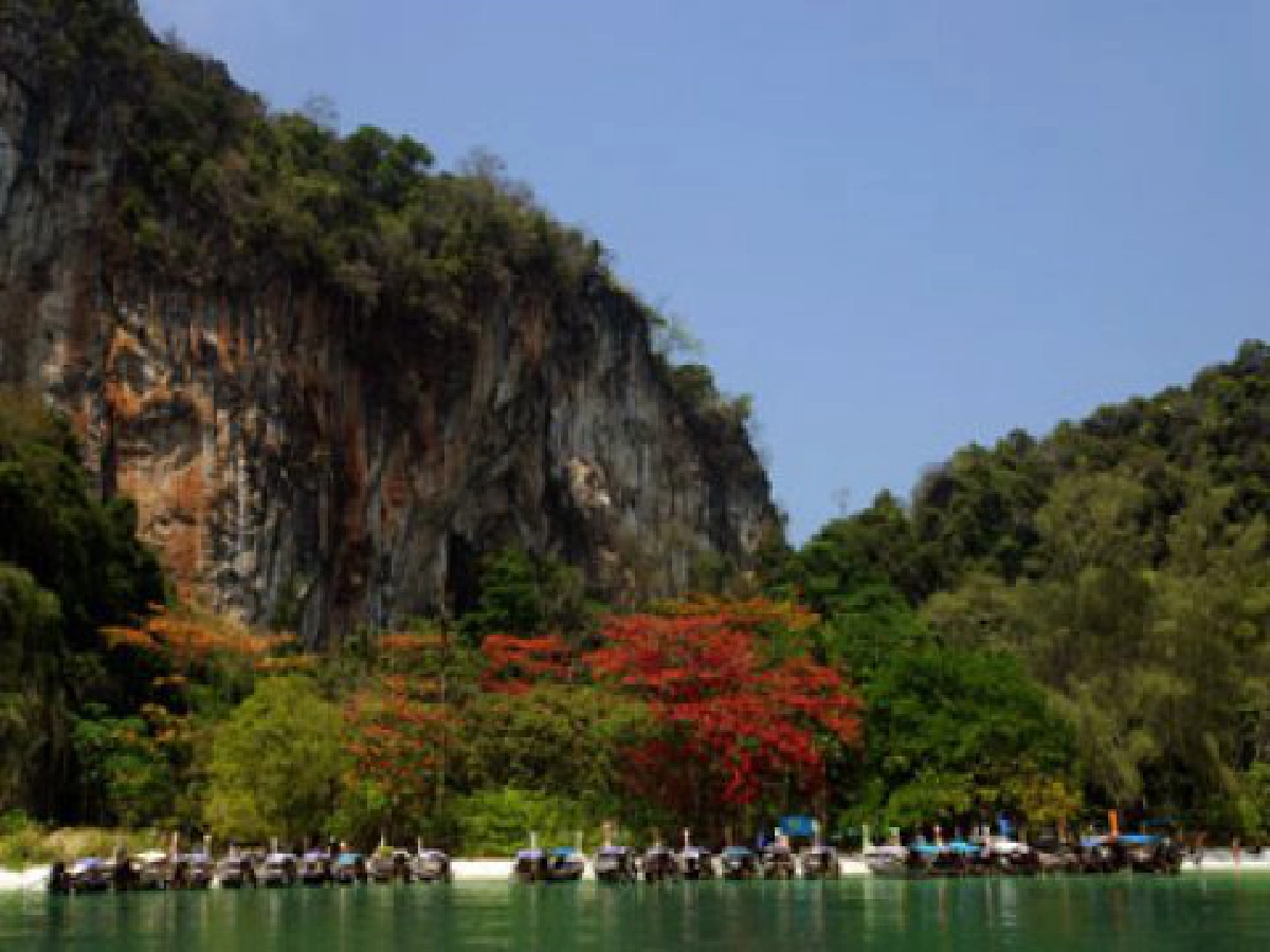 อบต.เขาทอง อนุรักษ์สิ่งแวดล้อม
ชวนเล่นน้ำ-ดูปะการัง "เกาะห้อง" 

