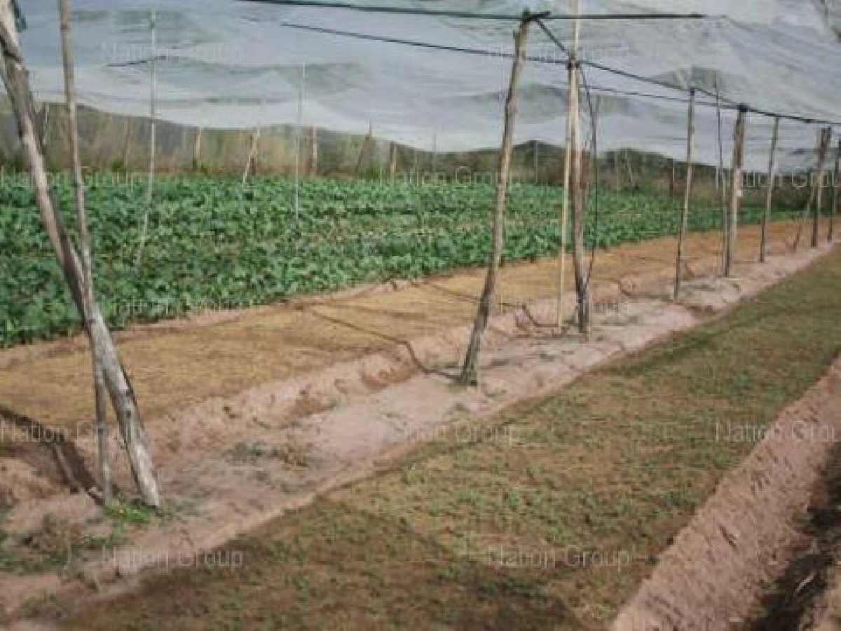 ศก.พอเพียงพลิกสร้างรายได้ให้ชาวบ้านหม้อ ศก.พอเพียงพลิกสร้างรายได้ให้ชาวบ้านหม้อ