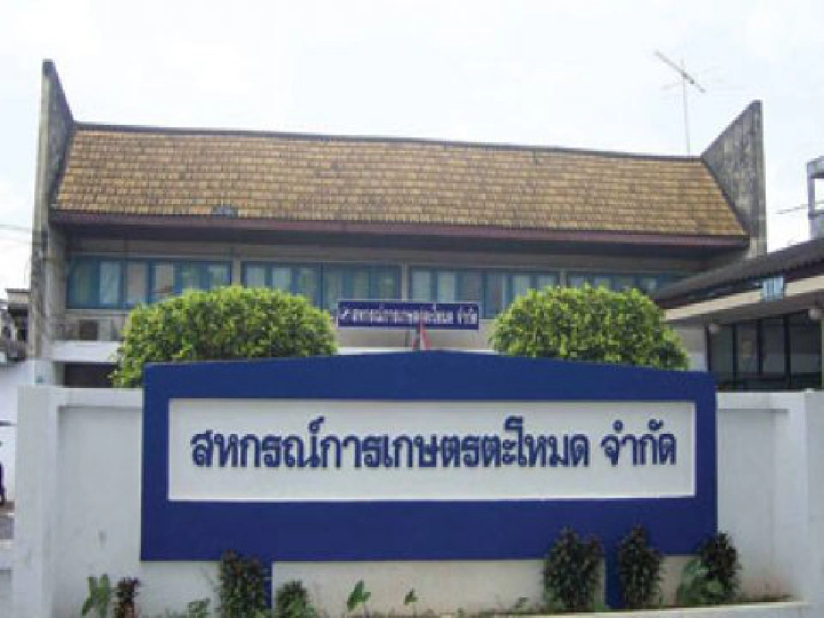อีกก้าวสหกรณ์การเกษตร "ตะโหมด"
ยึด "ธรรมาภิบาล" สู่สหกรณ์ดีเด่น
อีกก้าวสหกรณ์การเกษตร "ตะโหมด"
ยึด "ธรรมาภิบาล" สู่สหกรณ์ดีเด่น