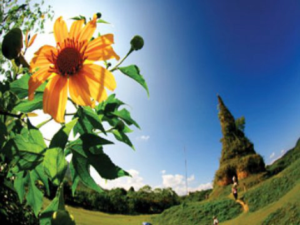 สมเด็จพระสังฆราชประทานพรปีใหม่"ลดความโลภ โกรธ หลง"