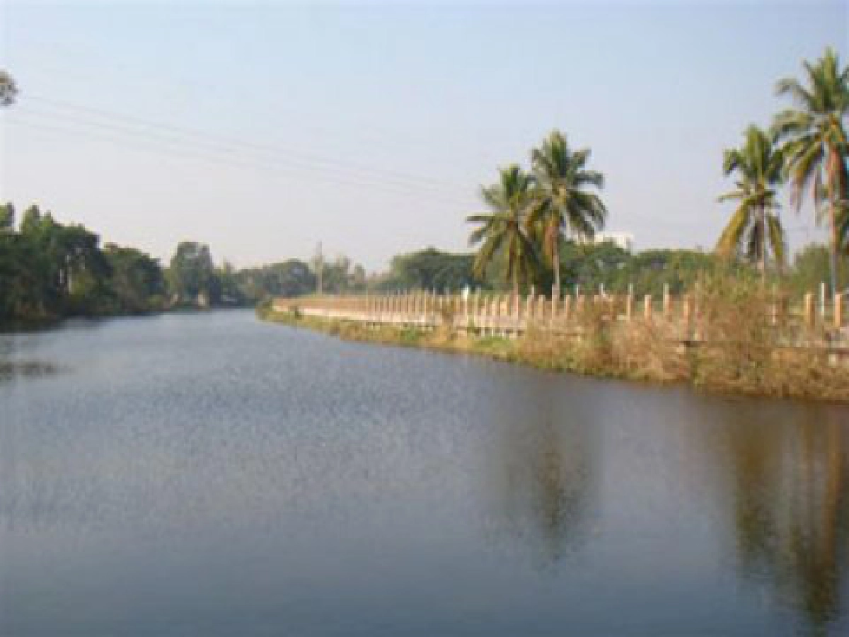 จาก บ้านลาดกุดยางใหญ่ 
สู่เมือง"มหาสาลคาม 

