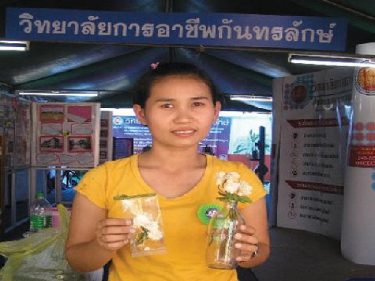 "ดอกมะลิ" จากไส้มันสำปะหลัง
งานศิลป์ฝีมือนศ.กันทรลักษ์
"ดอกมะลิ" จากไส้มันสำปะหลัง
งานศิลป์ฝีมือนศ.กันทรลักษ์