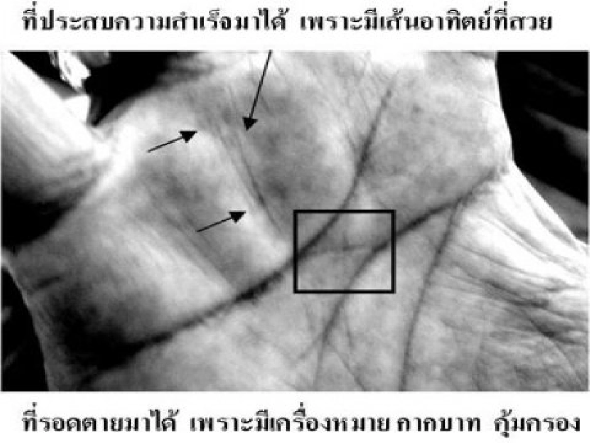 นาท ภูวนัยพระเอกที่เฉียดตาย !!?