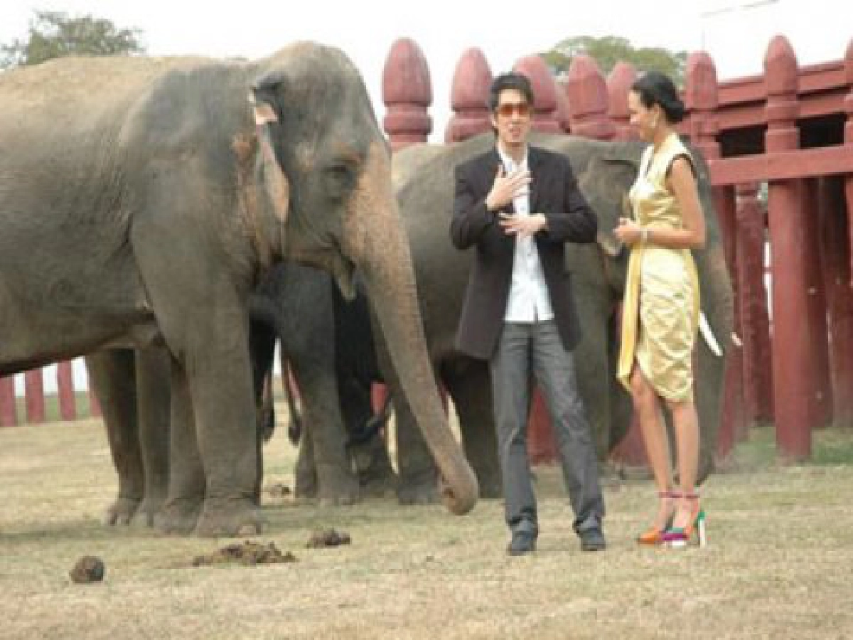 เสิร์ฟข่าวเม้าท์แตก (อังคารที่ 26 ม.ค.53)
เสิร์ฟข่าวเม้าท์แตก (อังคารที่ 26 ม.ค.53)
