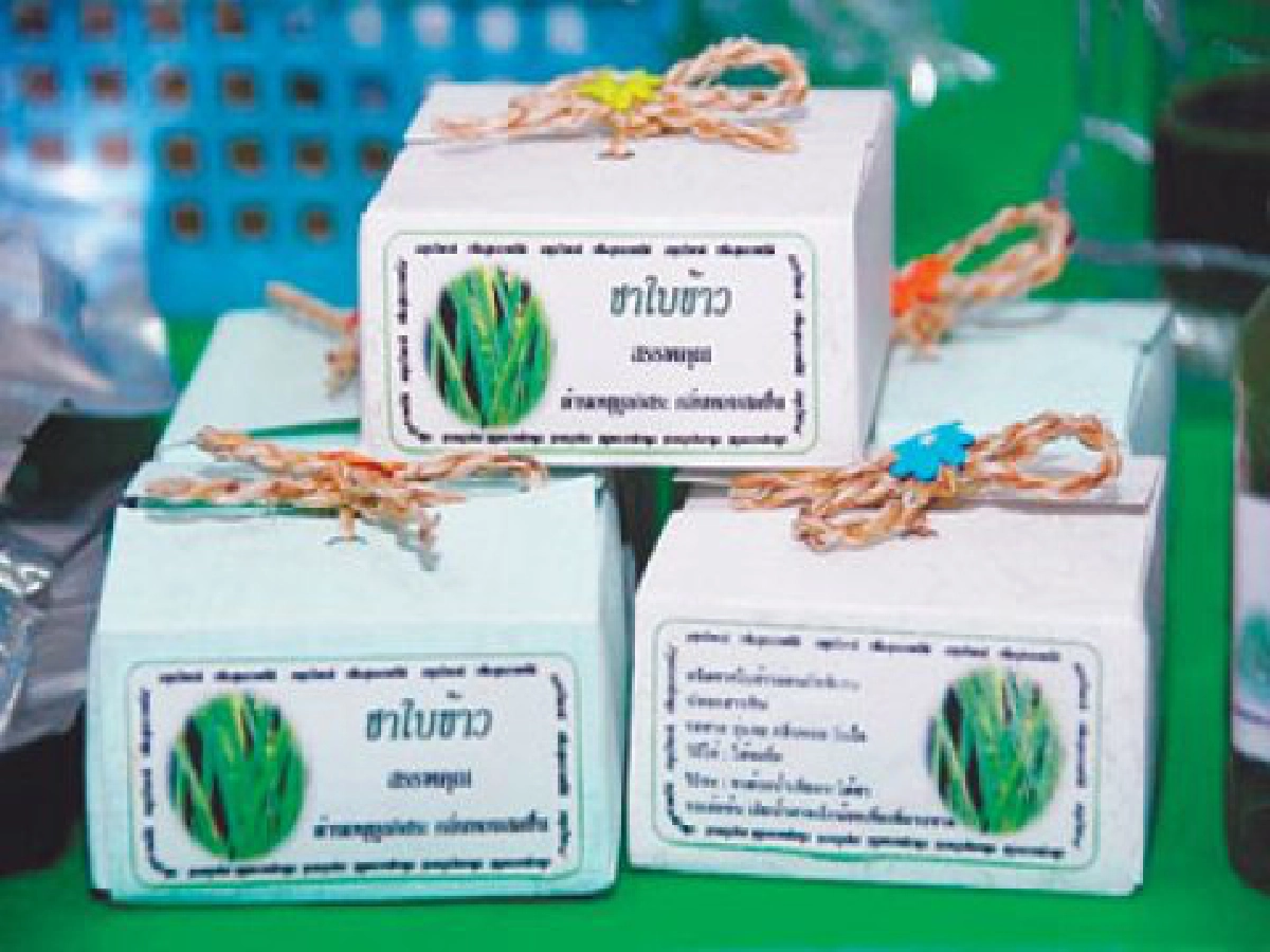 สุดยอดอาหารจาก"น้ำคั้นใบข้าว"
ผลิตภัณฑ์ใหม่ของคนรักสุขภาพ
สุดยอดอาหารจาก"น้ำคั้นใบข้าว"
ผลิตภัณฑ์ใหม่ของคนรักสุขภาพ