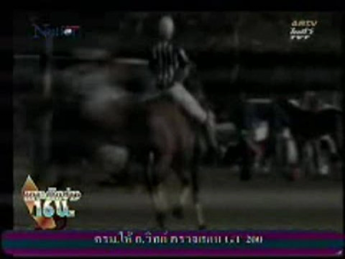 เจ้าชายแฮร์รีตกม้าตอนแข่งโปโลการกุศล เจ้าชายแฮร์รีตกม้าตอนแข่งโปโลการกุศล