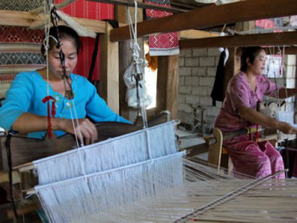 ตามหา..บรรพบุรุษไทย "ฉบับใหม่"
ตามหา..บรรพบุรุษไทย "ฉบับใหม่"