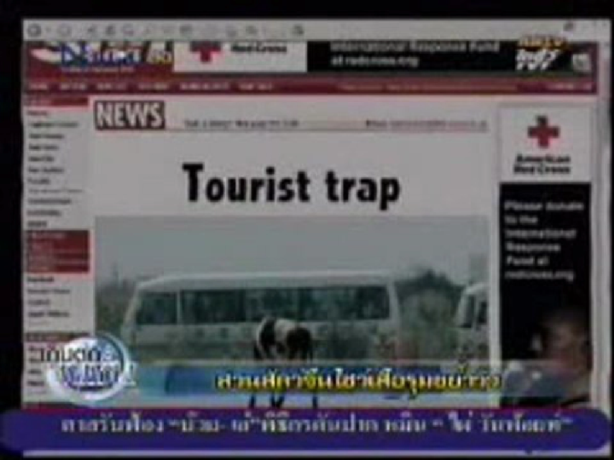 สวนสัตว์จีนนำวัวเป็นให้เสือรุมขย้ำโชว์นักทท. สวนสัตว์จีนนำวัวเป็นให้เสือรุมขย้ำโชว์นักทท.