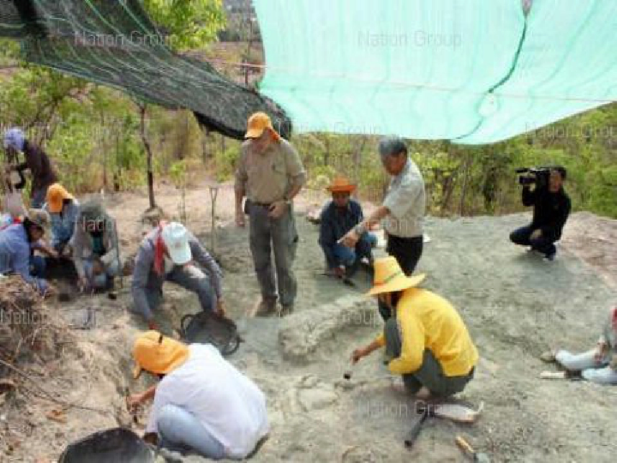 พบไดโนเสาร์กินพืชสกุลใหม่ของโลก150ล้านปี พบไดโนเสาร์กินพืชสกุลใหม่ของโลก150ล้านปี