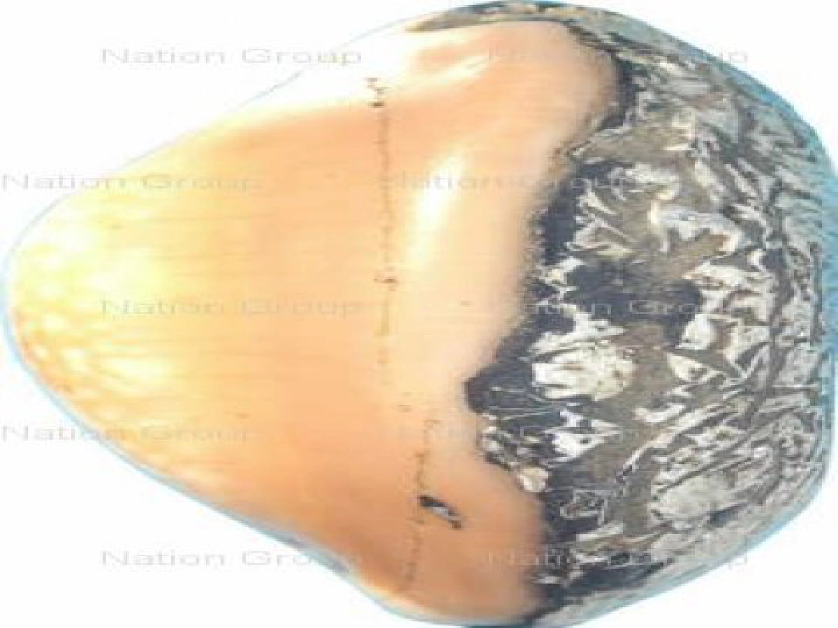 ชั่วโมงเซียน-เบี้ยแก้อาถรรพณ์ตำรับ...หลวงพ่อซำวัดตลาดใหม่   ชั่วโมงเซียน-เบี้ยแก้อาถรรพณ์ตำรับ...หลวงพ่อซำวัดตลาดใหม่