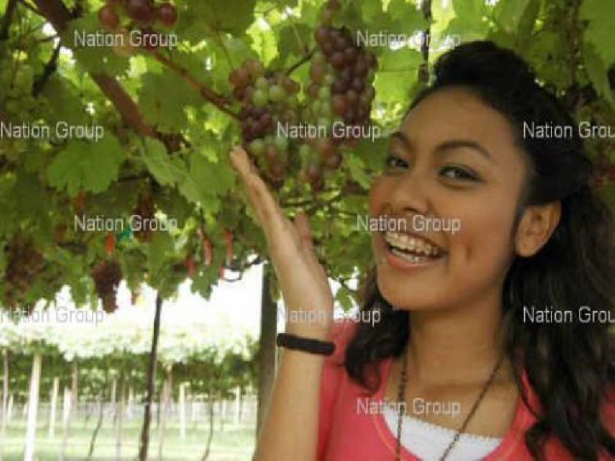 ประมวลนักร้องเดินสายประกวด ประมวลนักร้องเดินสายประกวด